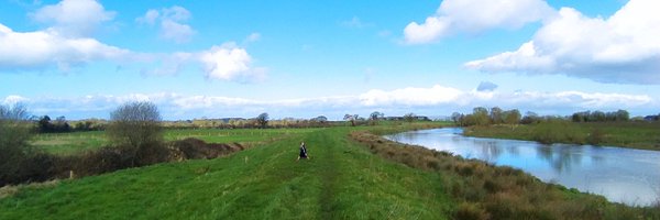 JoeSoss Profile Banner