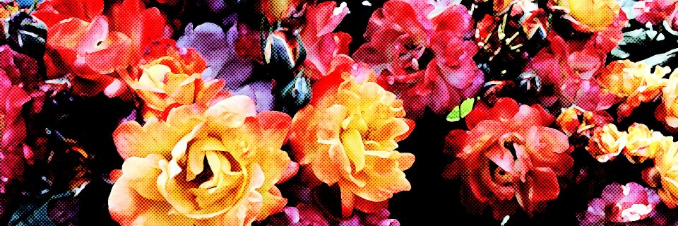 azsuch's profile banner image