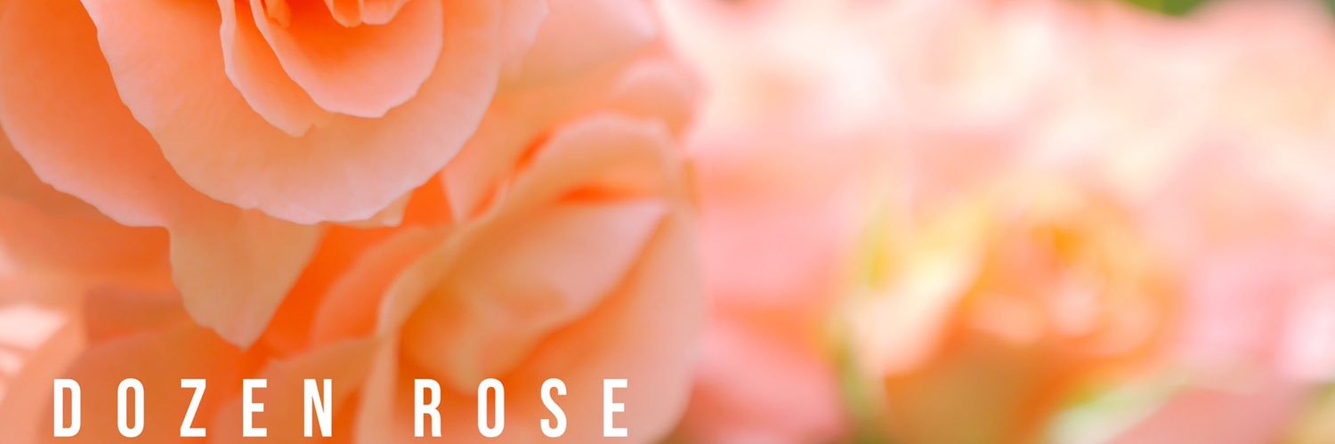 microsize's profile banner image