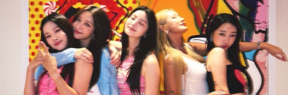 viviz fans vancouver banner