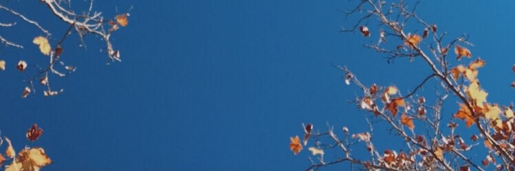 _luciapm's profile banner image