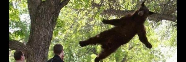 morologuses Profile Banner