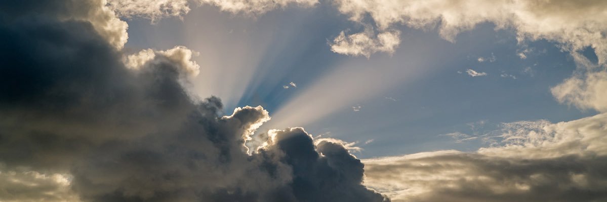 Trisha Fenimore banner