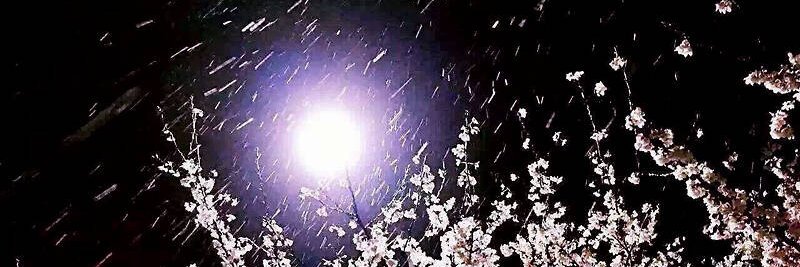 ZeZe11844296's profile banner image