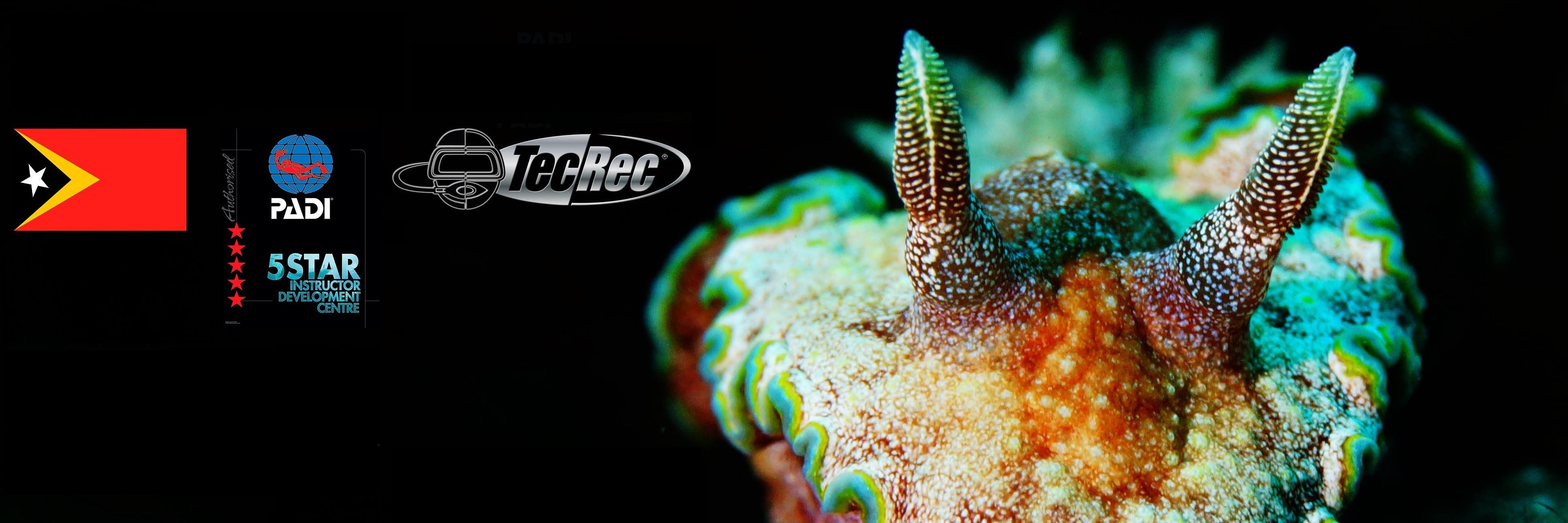 DiveTimor's profile banner image