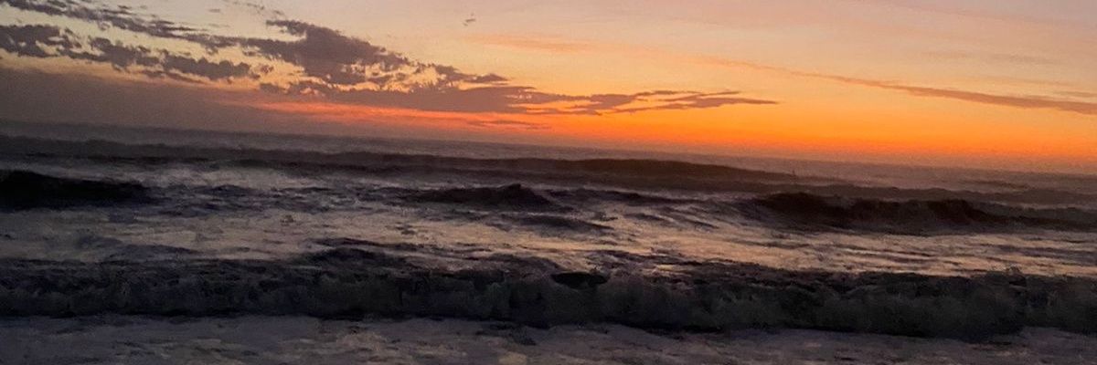 Sofi🦋 banner