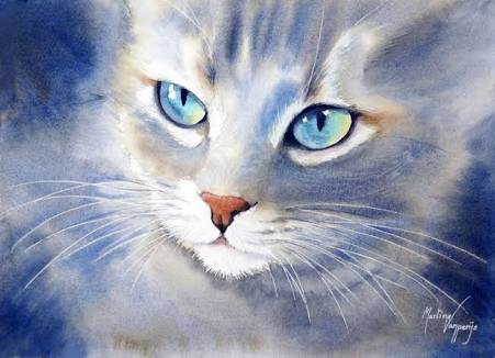 putri_ammu's profile banner image