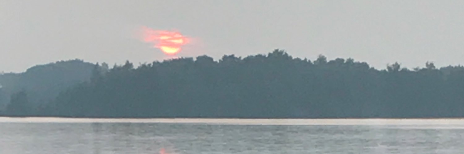 bibsy81's profile banner image