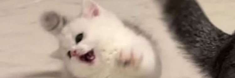 dxkeyy's profile banner image