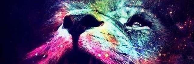 Napeacee's profile banner image
