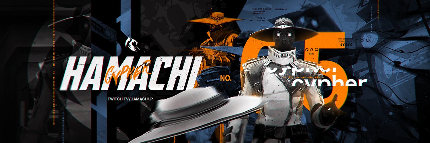 Hamachi banner