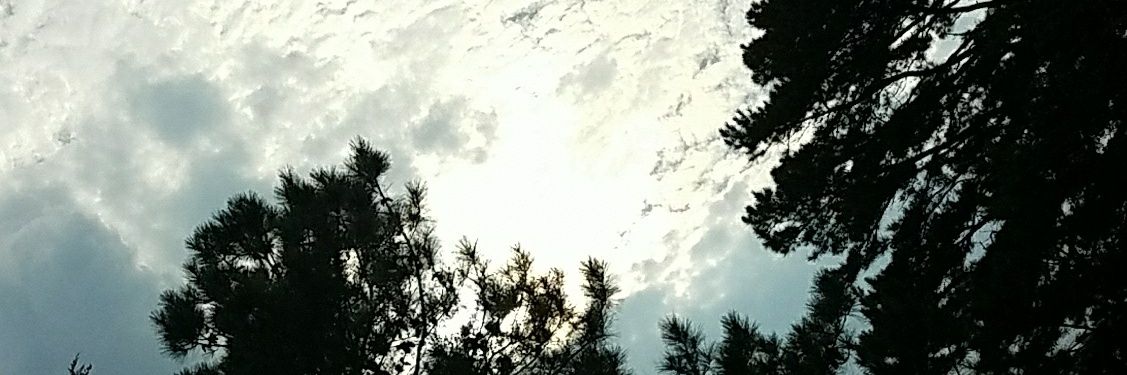 Max banner