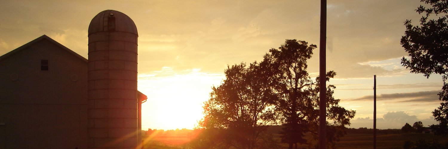 Traci Sonon banner
