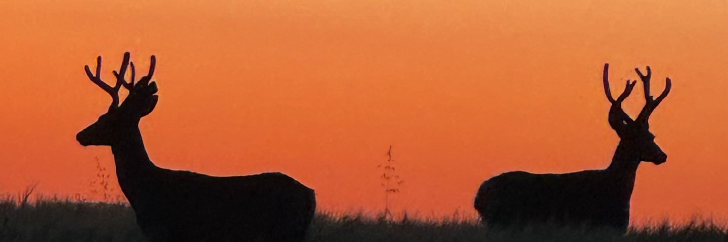 EduNainM's profile banner image
