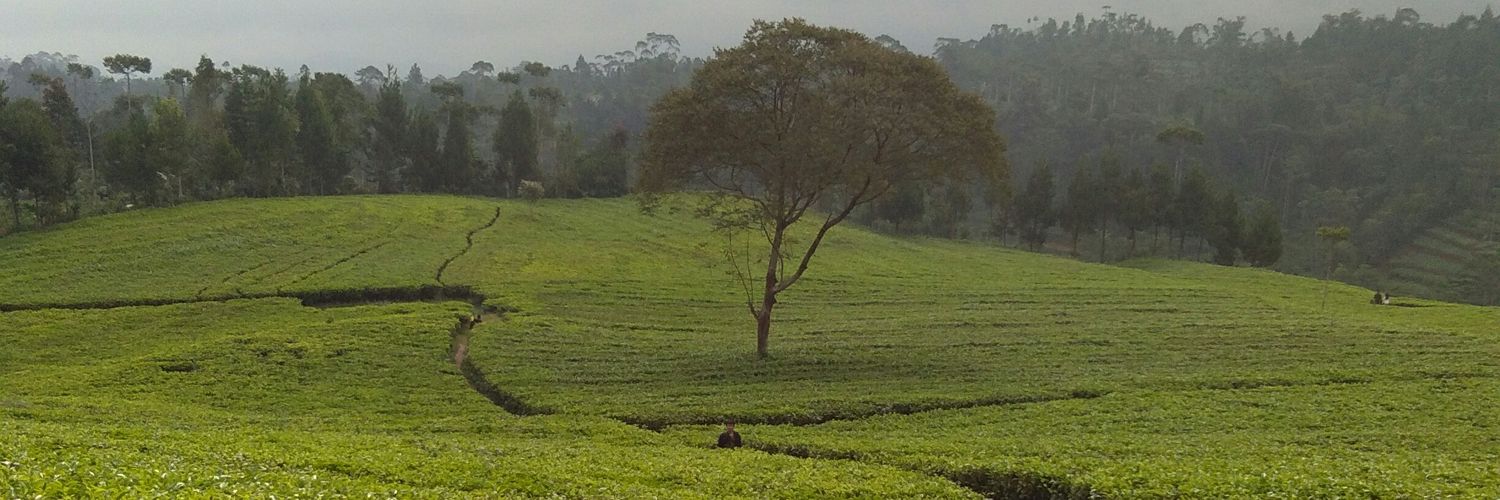 Ekwitrethceh's profile banner image