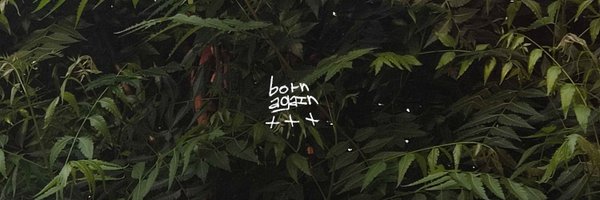 lu323n Profile Banner