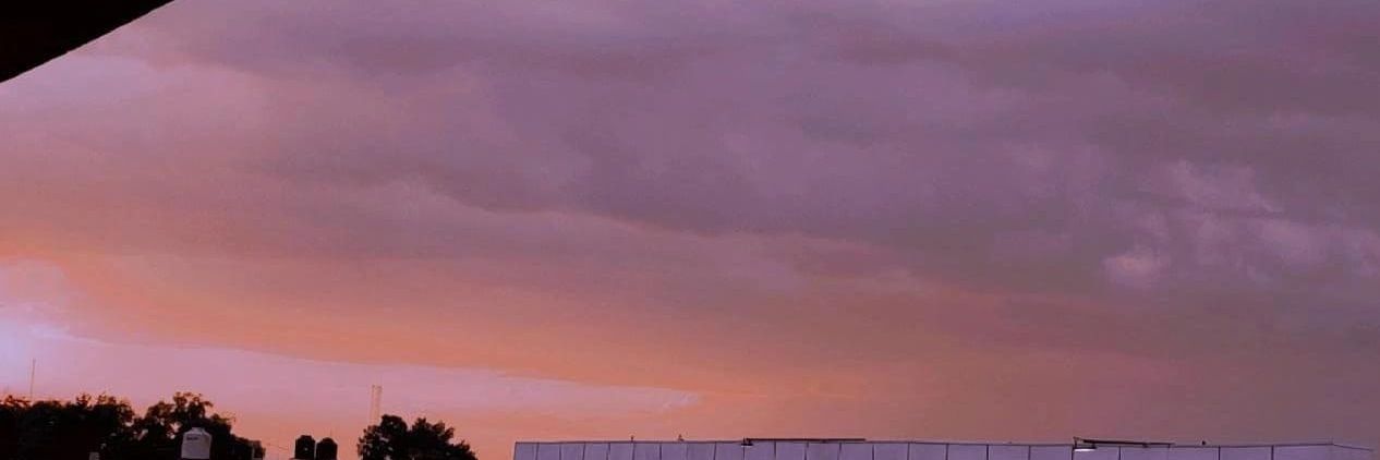 dearariii's profile banner image