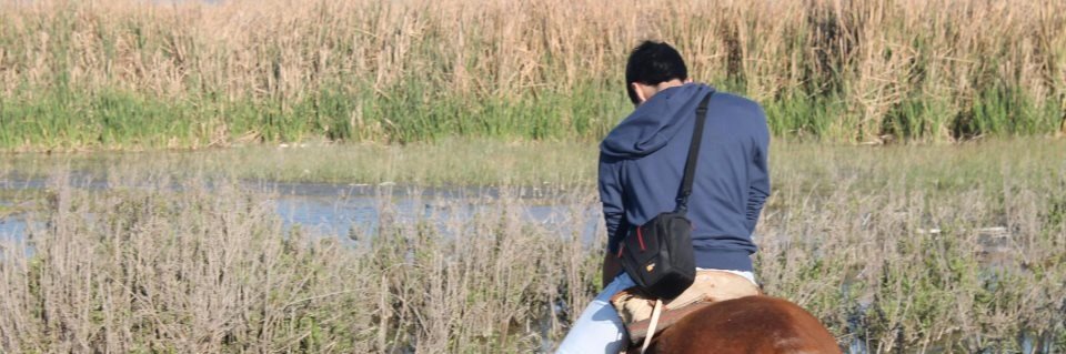 MiloECastillo's profile banner image
