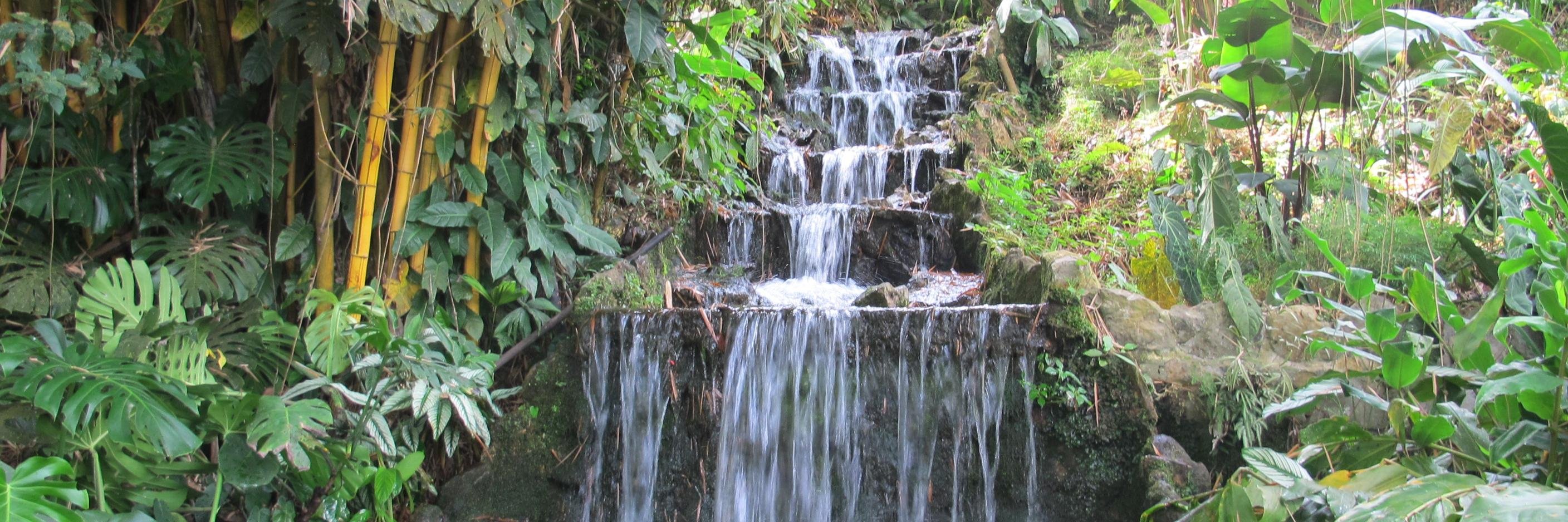 Pedro Navareño banner