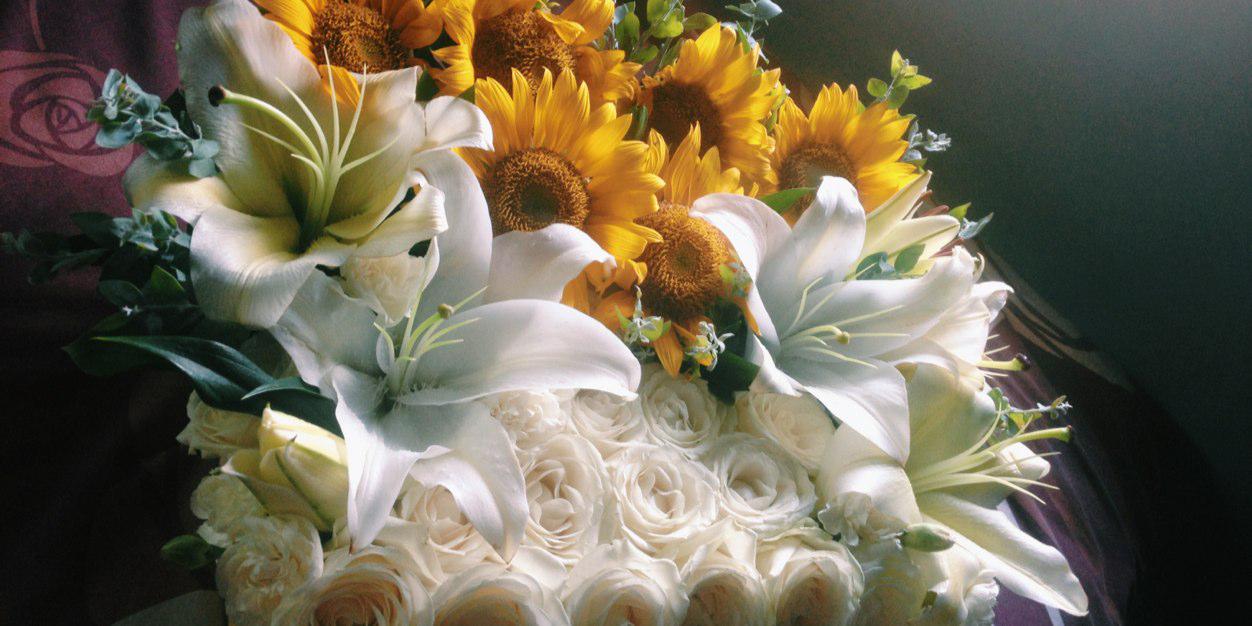 putricitrawaati's profile banner image