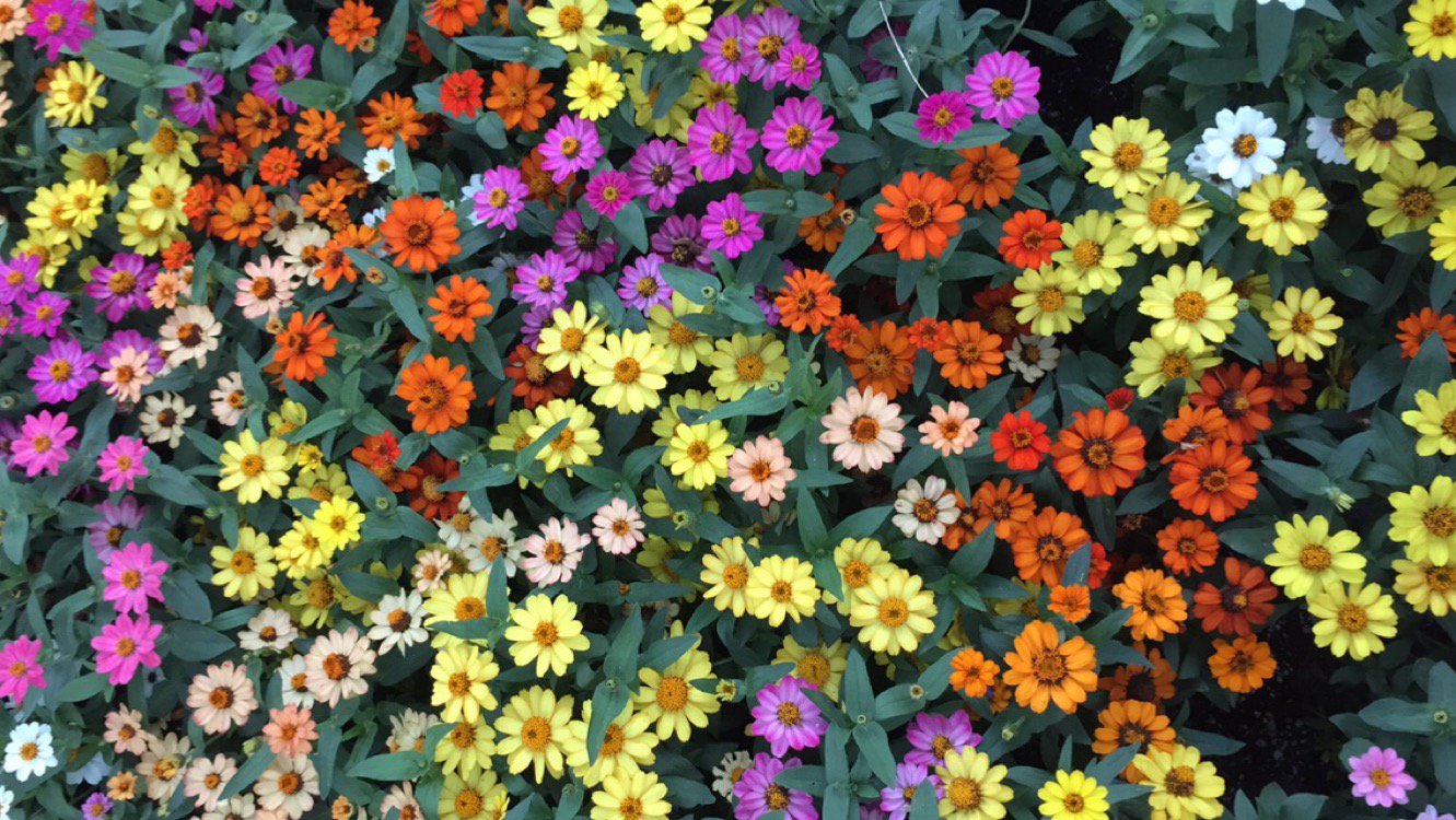 Karina Martinez banner