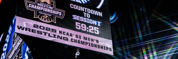 kaaestrel Profile Banner