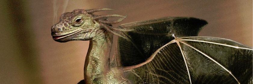 MiniDungeonImpv's profile banner image
