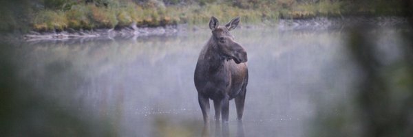 DresselSabrina Profile Banner