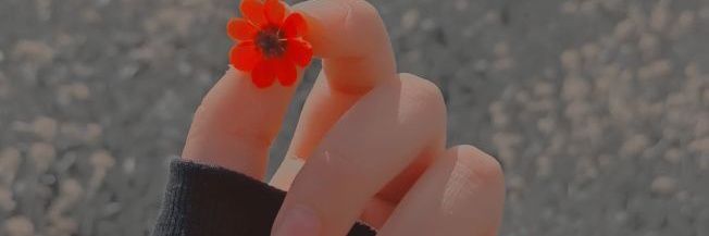 4_gnaat's profile banner image