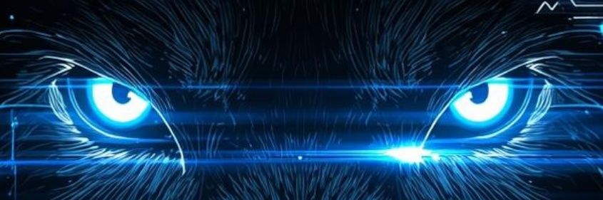 𝐓𝐡𝐞𝐂𝐫𝐲𝐩𝐭𝐢𝐜𝐖𝐨𝐥𝐟 banner