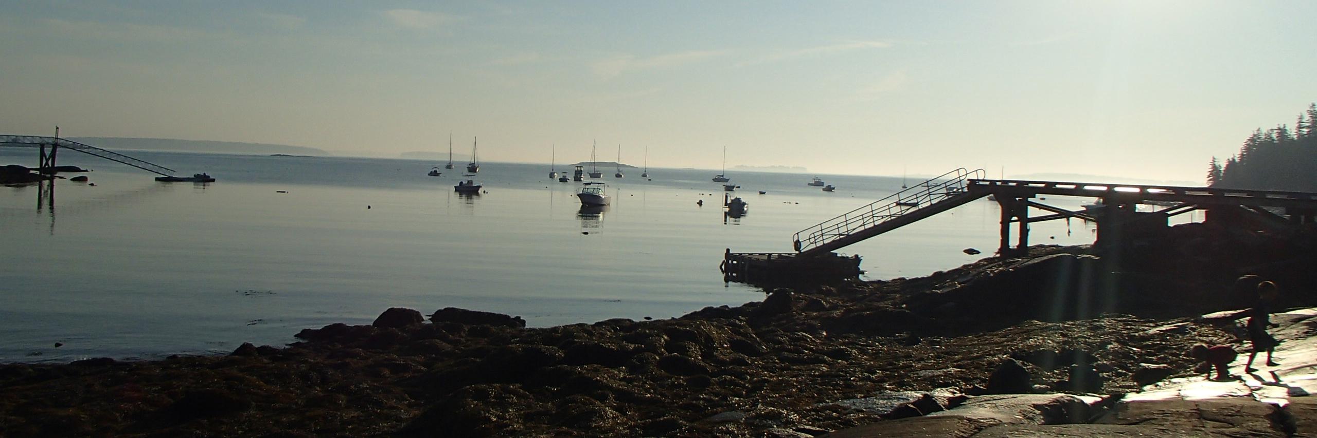 Seth Mitchell banner