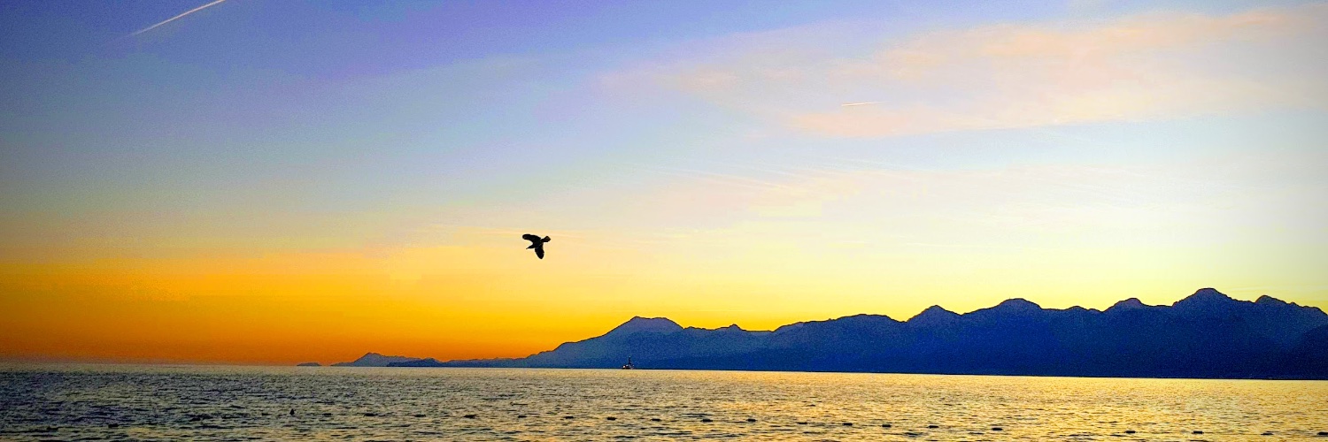 howwillitbe's profile banner image