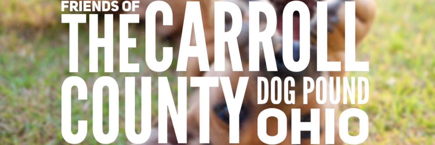 FoccdpOhio's profile banner image