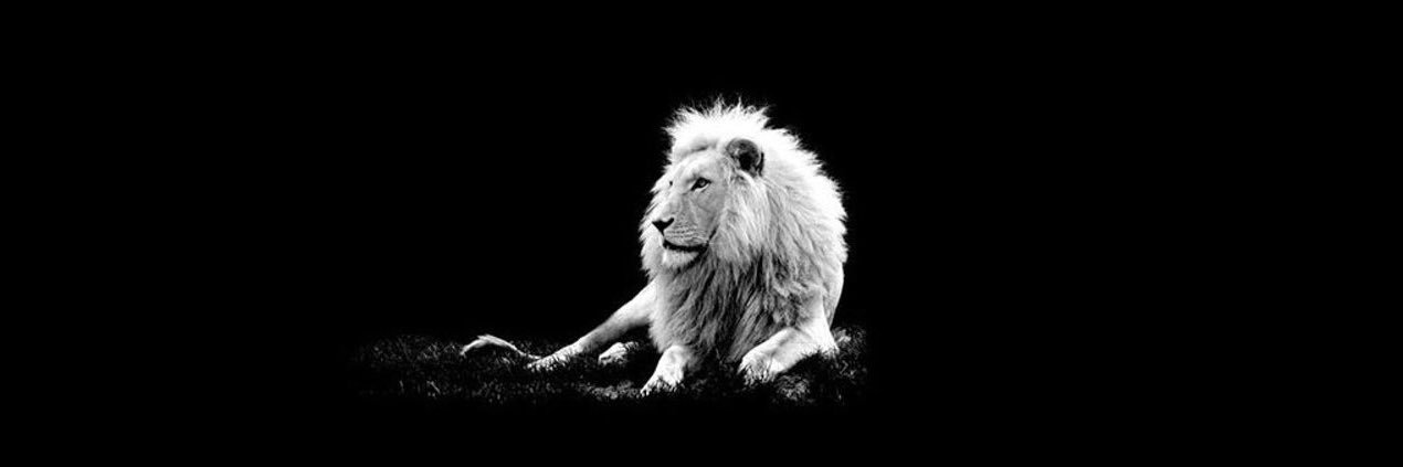 Patrick Lawrence banner