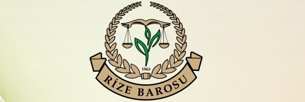 rizebarosu's profile banner image