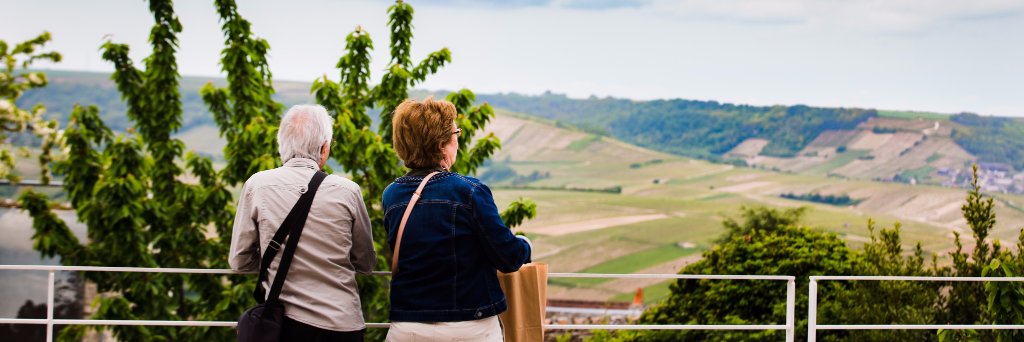 maisondsancerre's profile banner image