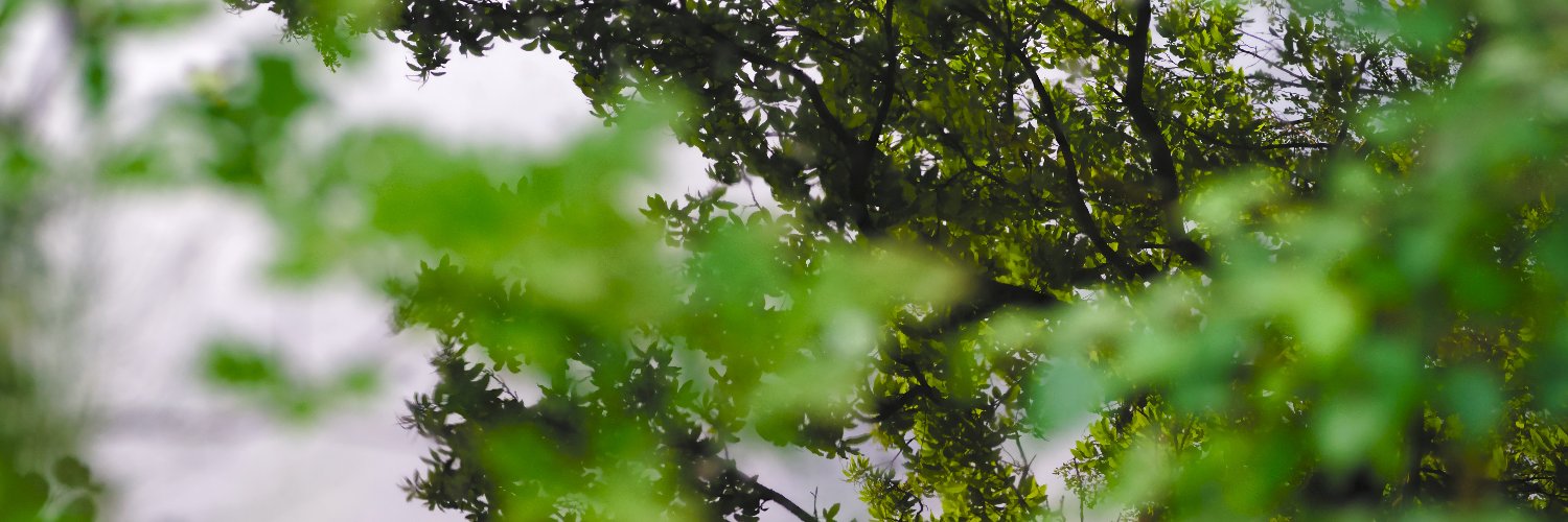 emanjava's profile banner image