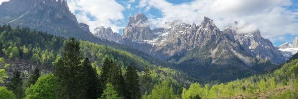 CompagniaForest Profile Banner