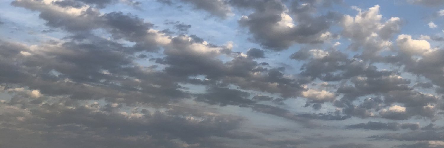 ll11uu's profile banner image