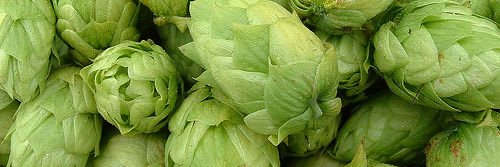 MODERN LIQUID banner