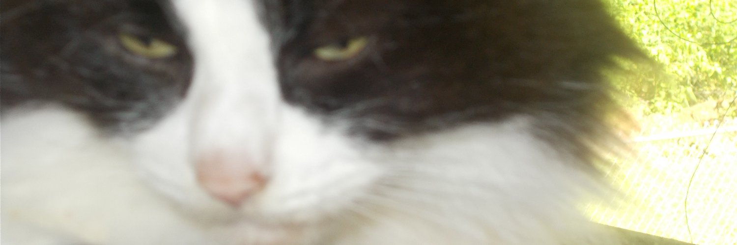 friocarrieo's profile banner image
