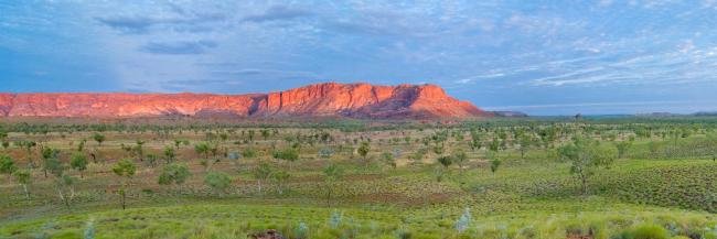 Alaya Spencer-Cotton banner