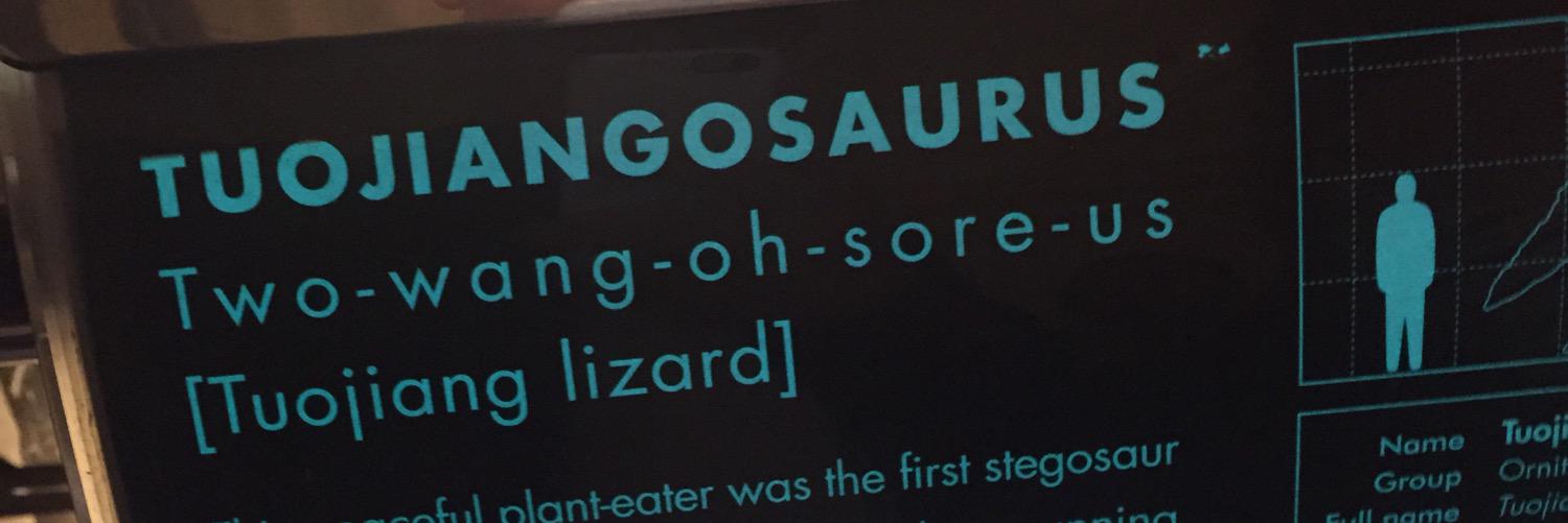 leighroywild's profile banner image