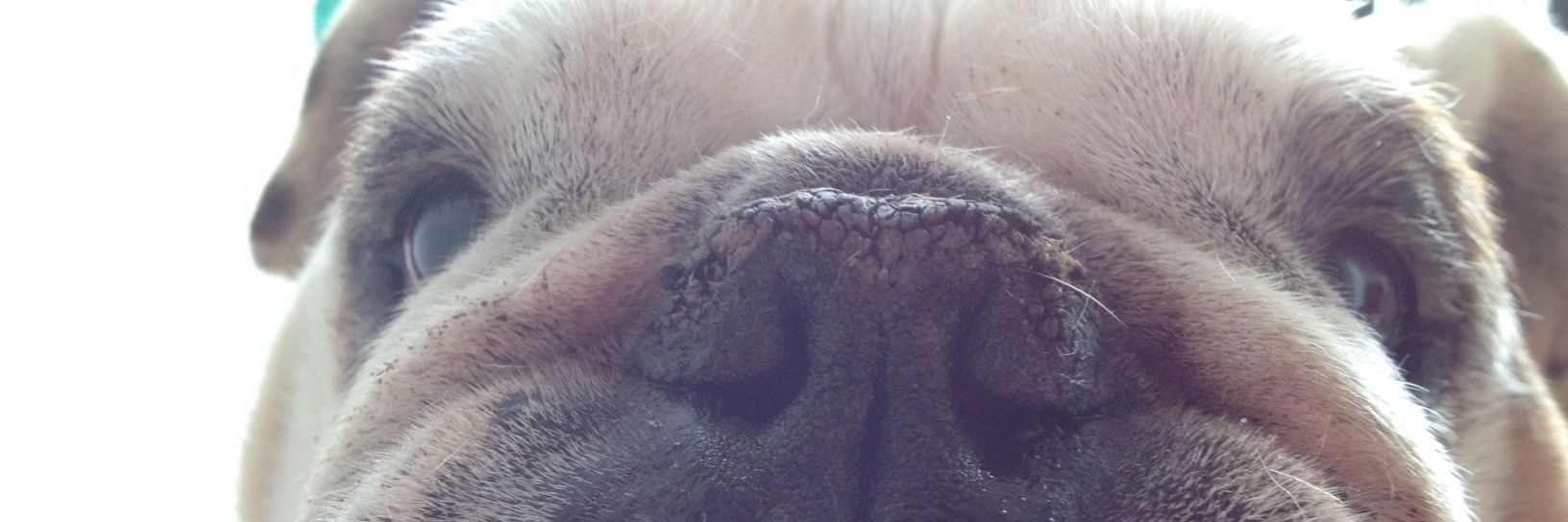 eligueli_'s profile banner image