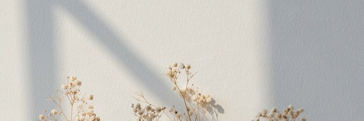 Chintia banner