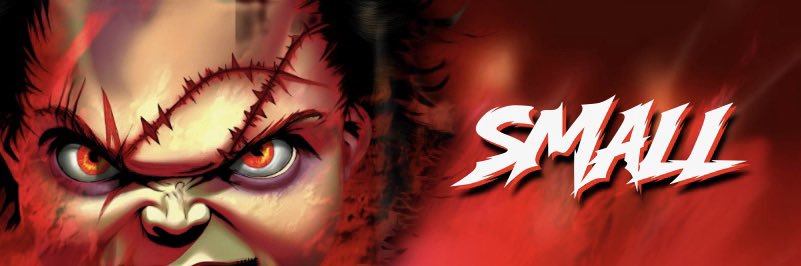 SMALL SUPER BOWL CHAMPION! banner