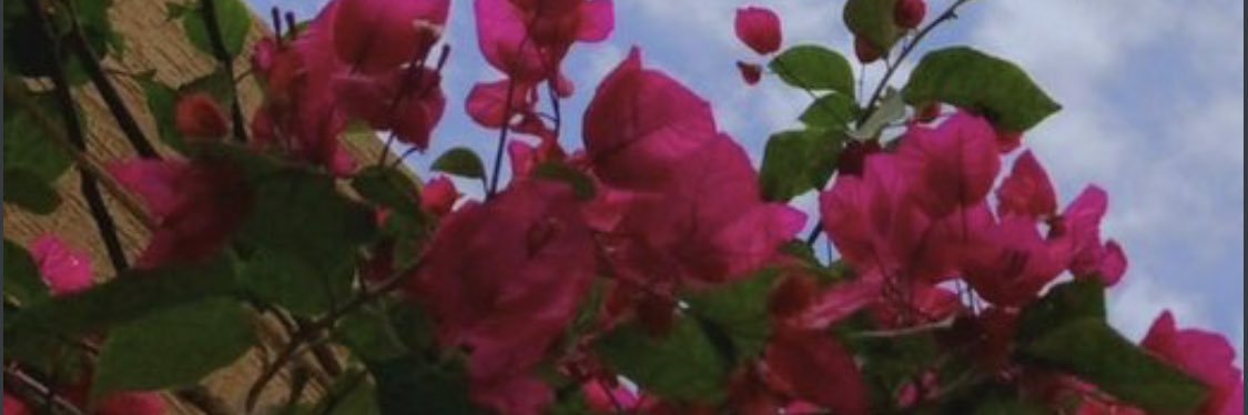 bwardy4's profile banner image