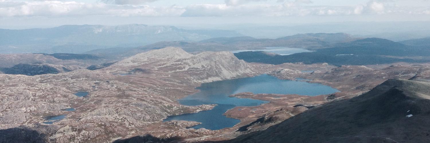 Renate Thoreid banner