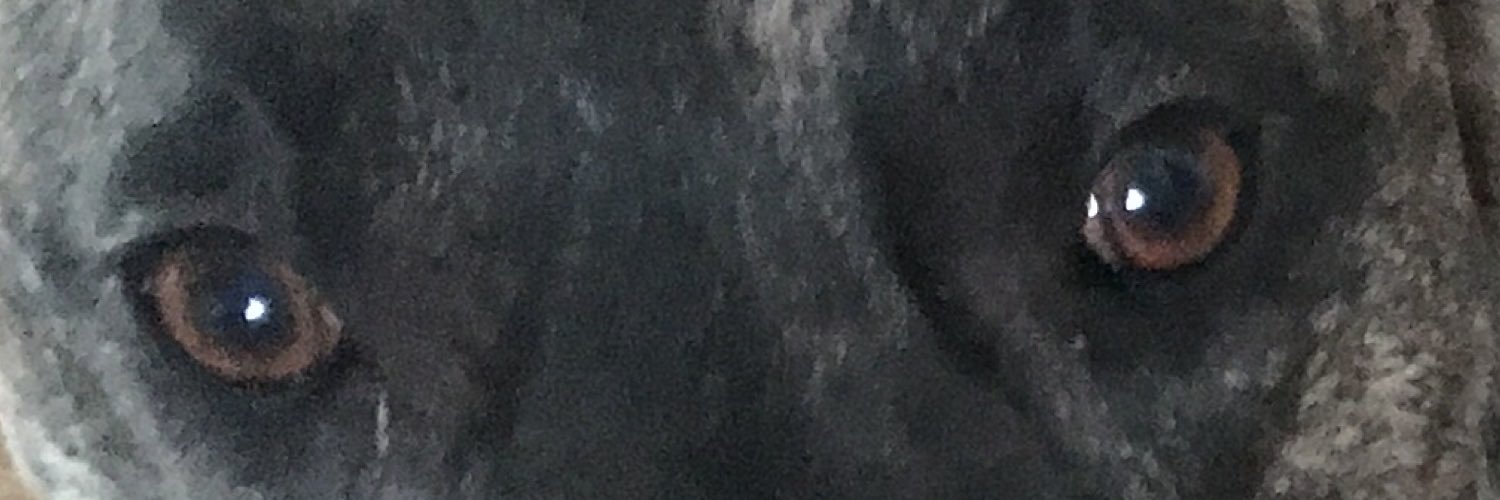 blu banner