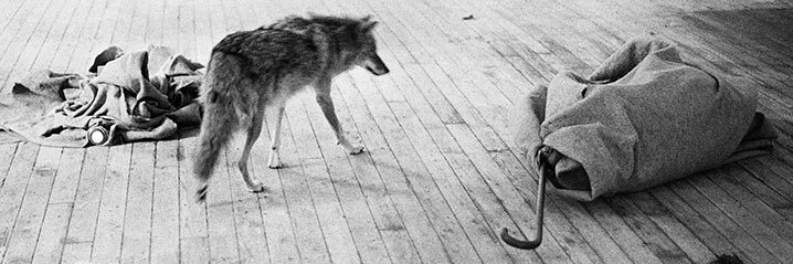 l0mas (original flavor) banner